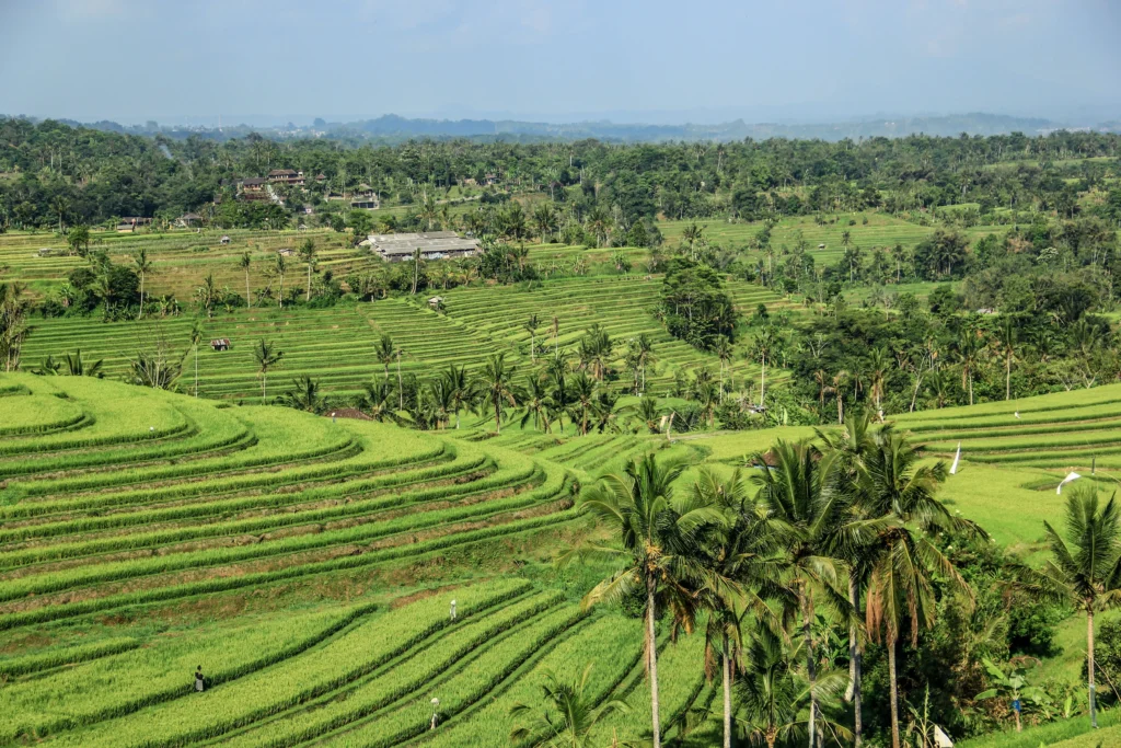 Honeymoon Packages in Tabanan